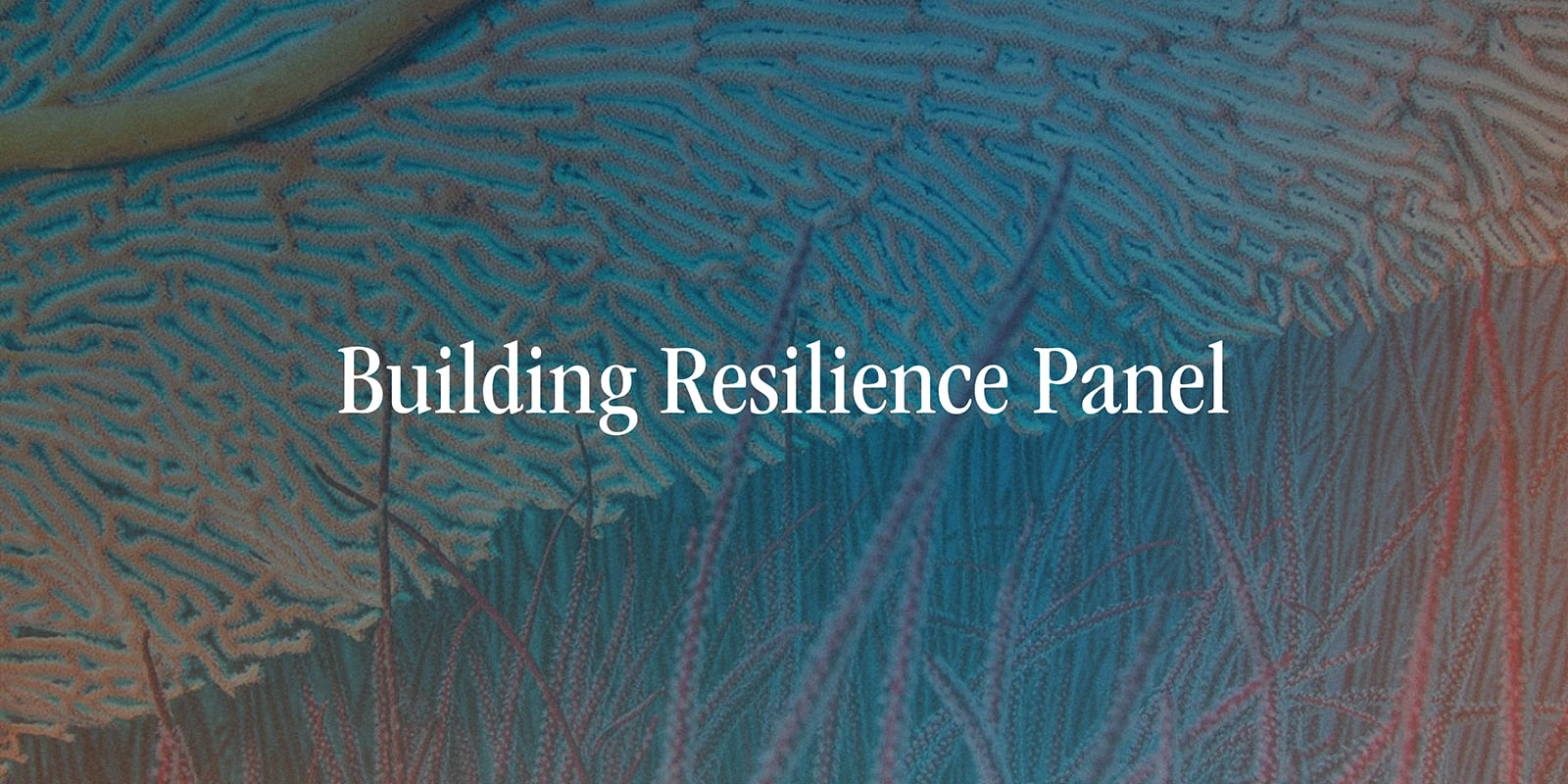 Building Resilience Panel