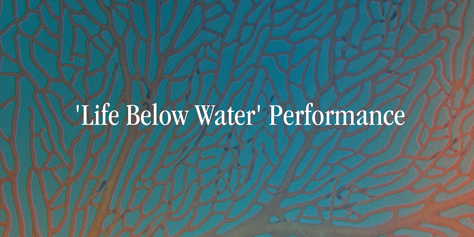 Life Below Water Performance