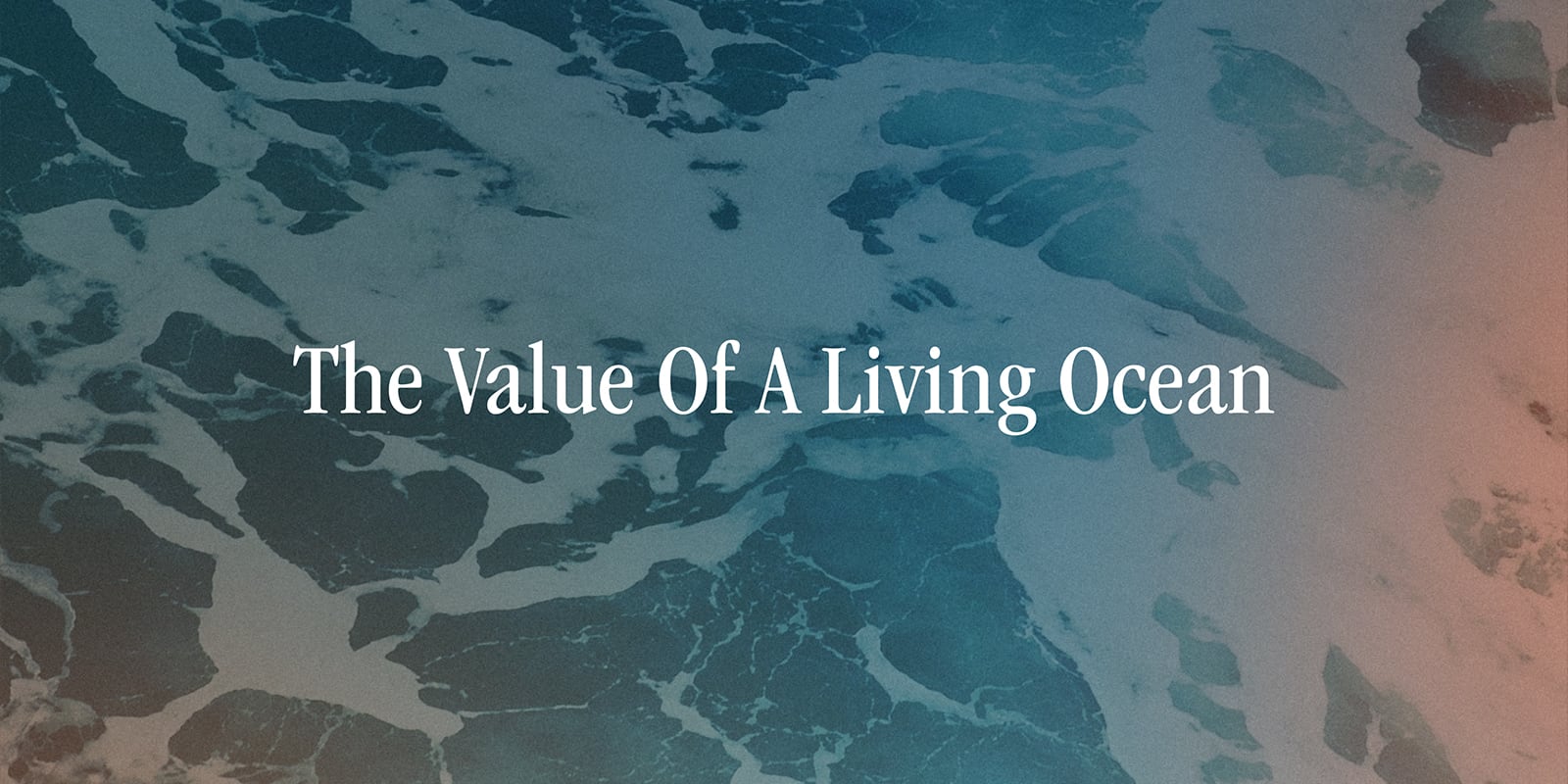 The Value of a Living Ocean