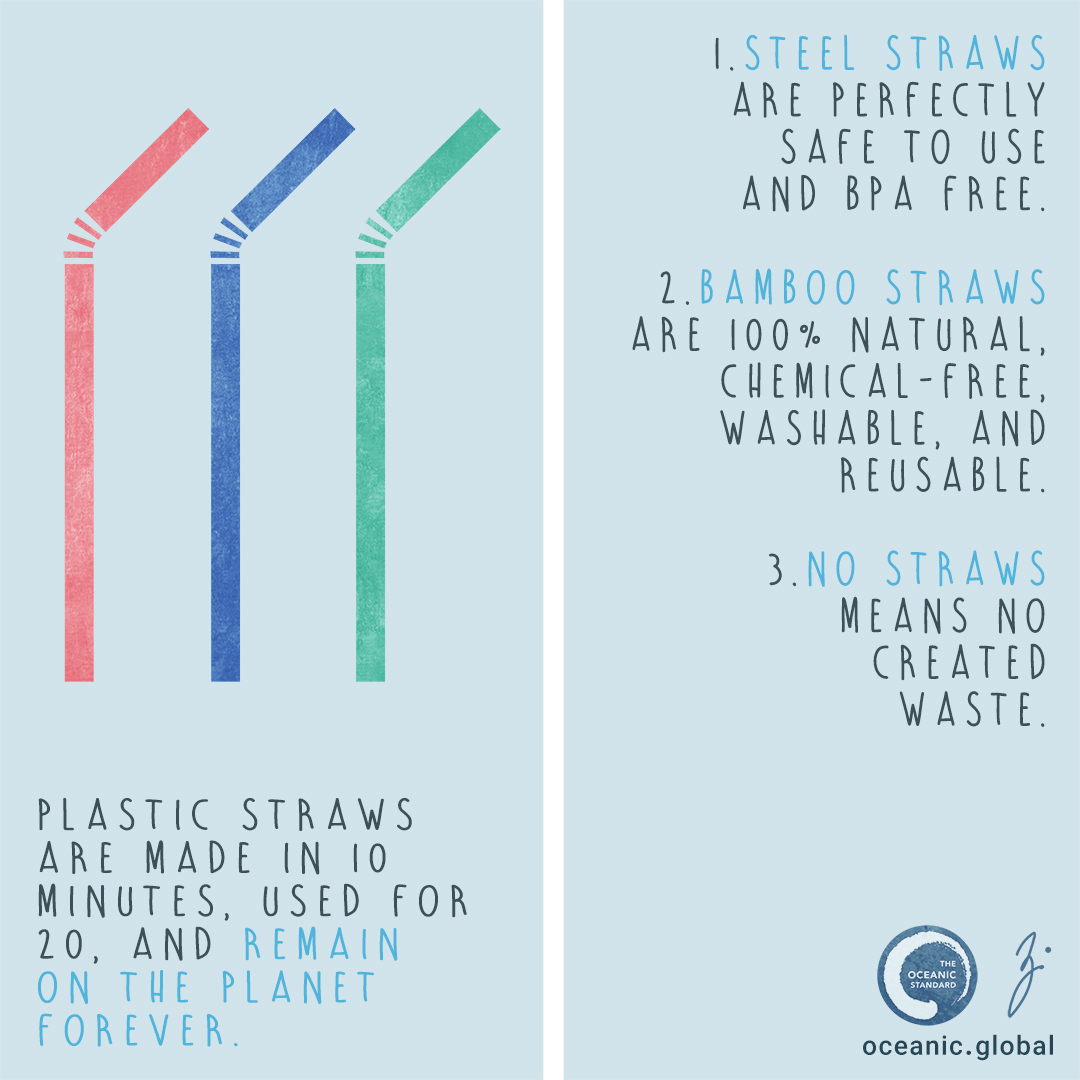 Image result for oceanic global straws