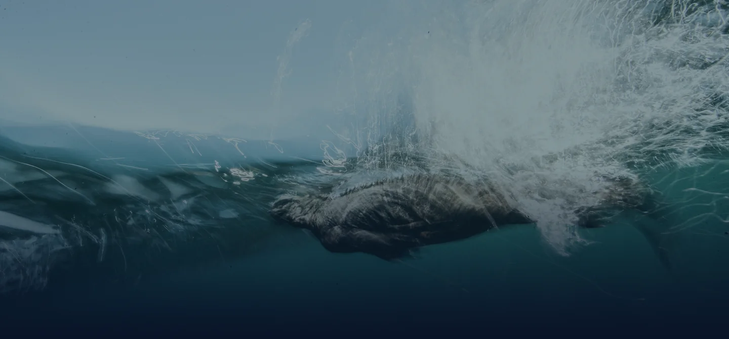 desktop