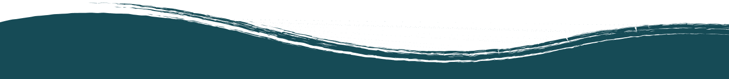 project border image