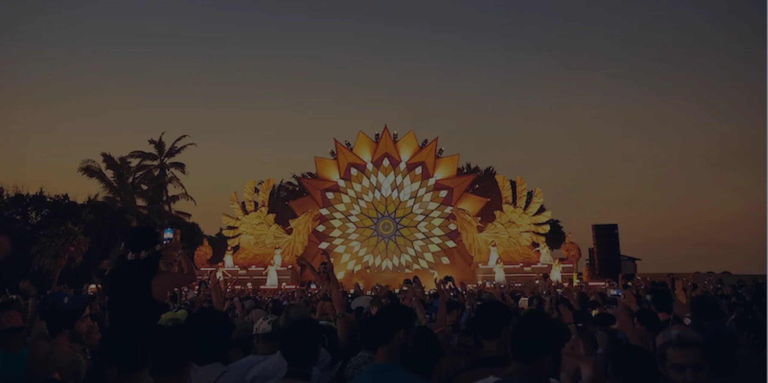 project-banner