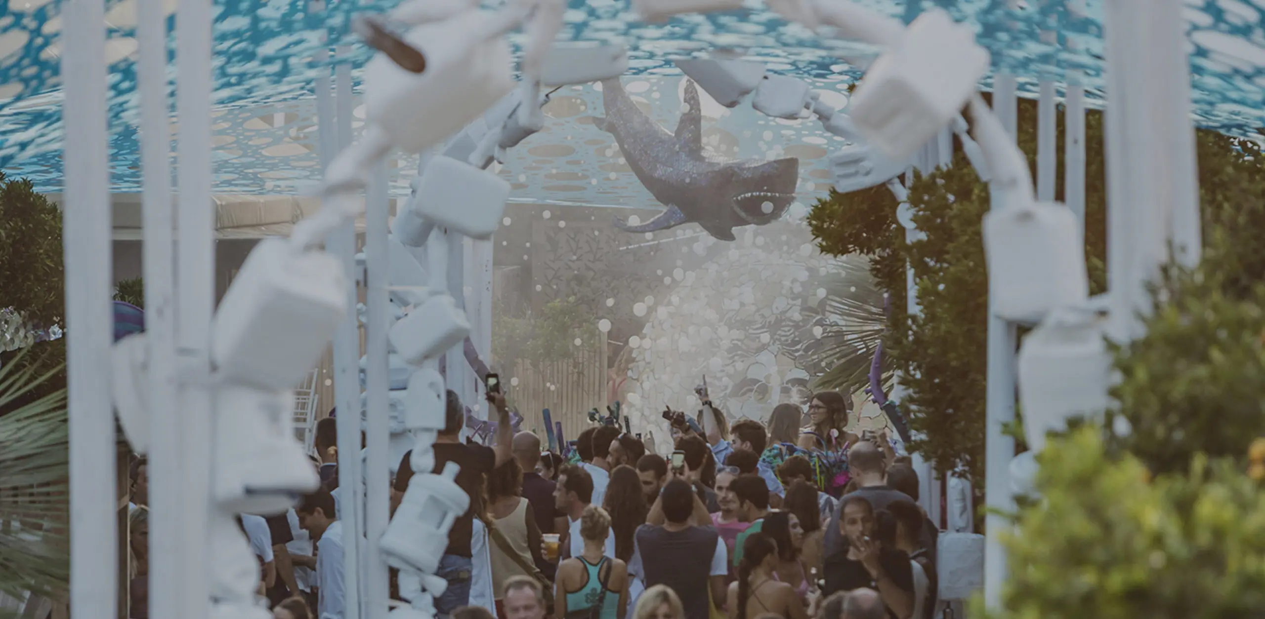 project-banner
