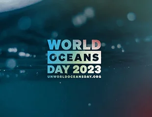 UN World Oceans Day 2023: Planet Ocean
