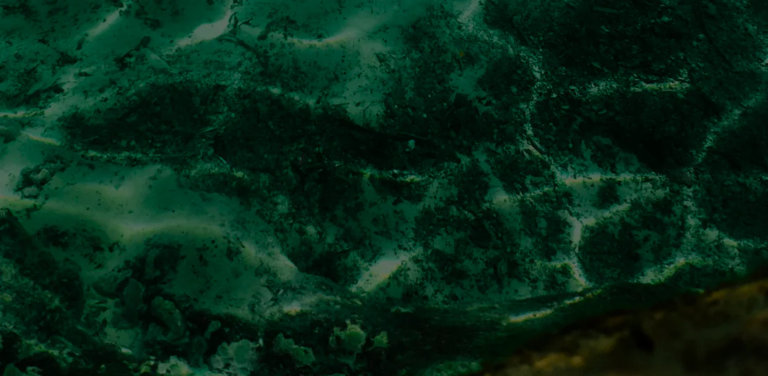 project-banner