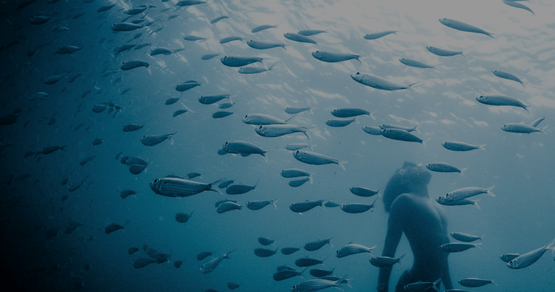 feature partner desktop