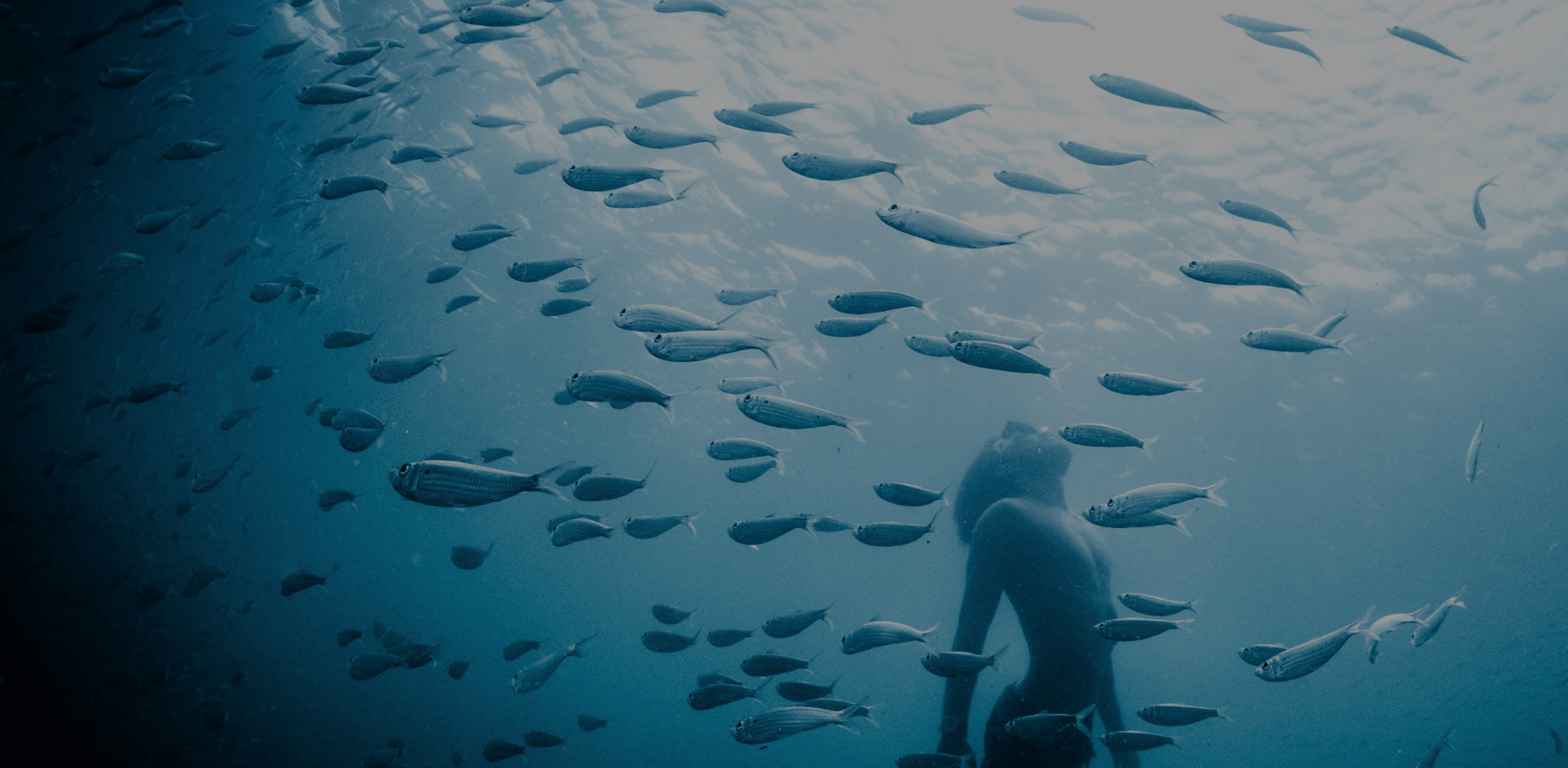 feature partner desktop